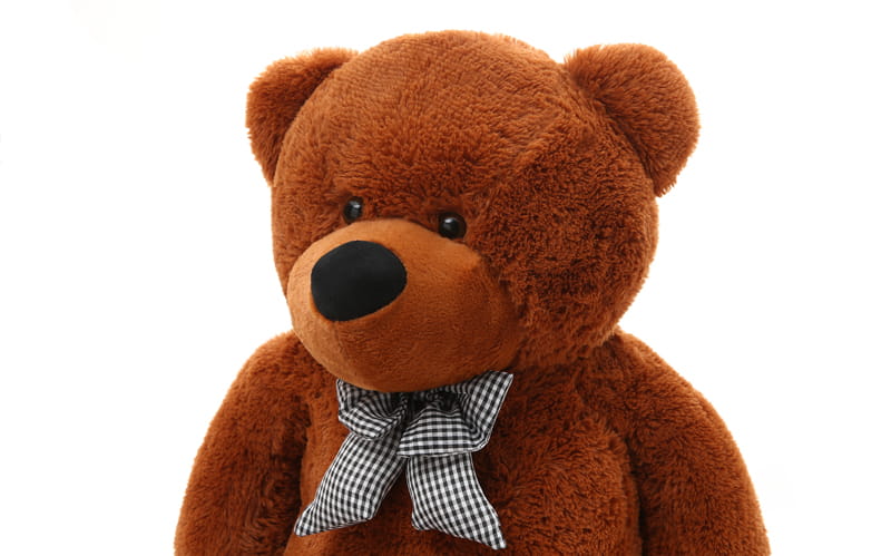 Peluche gigante MeowBaby® - 200 cm - ZuriBoo